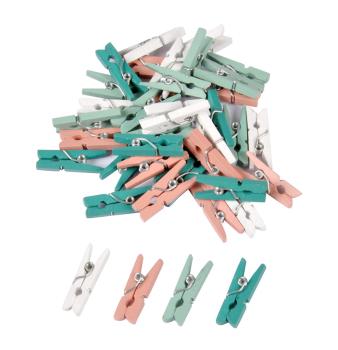 Preview: Mini-Klammern aus Holz - 40 Stück in 4 Pastell-Farben - Zum Befestigen von Fotos Notizen Geschenken & Verschliessen von Tüten - 2,5cm