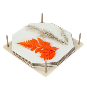 Preview: Blüten- und Pflanzenpresse aus Holz - Zum Pressen und Trocknen von Blumen & Blättern - Ideal für Basteln, Deko, Herbarium - 15x15cm