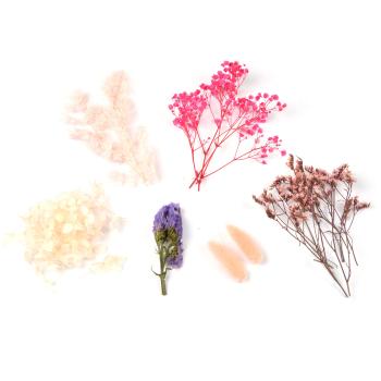 Trockenblumen-Set Natur - Rosafarbene Blüten für stilvolle Ganzjahres-Deko - 30g Bouquet, pflegeleicht, für Vasen Kränze Gestecke