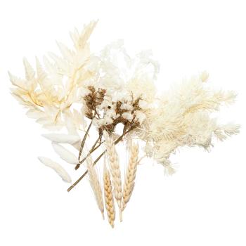 Natürliches Trockenblumen-Set - Stilvolle & vielseitige Deko für Zuhause - Blüten Bouquet Weiss & Beige - Ganzjähriger Blickfang 30g