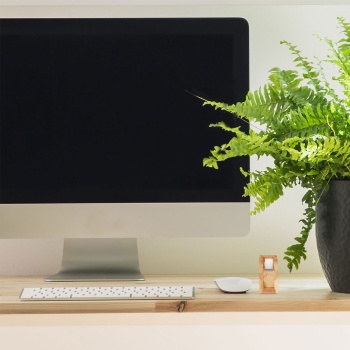 Preview: Tischabroller aus Bambus - Klebebandabroller für 25mm Klebestreifen mit Metall-Abrisskante - Nachhaltig & Elegant für Büro, Homeoffice, Schule