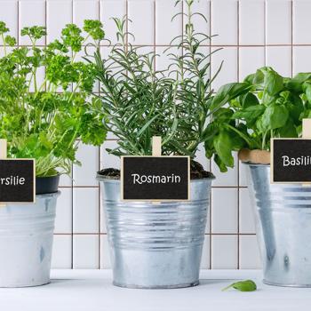 Preview: 20er-Set Holztafeln mit Klammer - Mini Kreidetafeln für Kräutergarten Pflanzen Namensschilder Etiketten - Wiederverwendbar - Inkl. Kreide - MDF 7x7.5x1.5cm