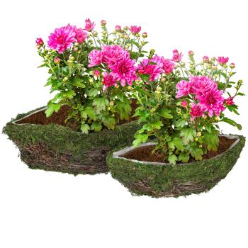 Preview: 2er-Set Dekoschalen Natur Schiff - Pflanztöpfe mit Innenfolie für Pflanzen & Deko - Aus Ästen & Gras, braun/grün, 36/30cm Länge