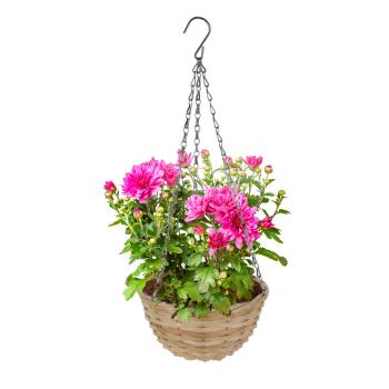 Preview: 2er-Set Hängeblumentopf Weidengeflecht - Blumenampel mit Kette & Haken - 30x16,5cm - Braun/Silber - Vintage Deko für Balkon, Terrasse & Wohnzimmer