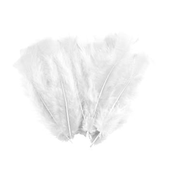 35 weisse Bastelfedern – Bastelzubehör weiche Federn – Länge 17cm – Für DIY-Projekte, Deko, Masken, Traumfänger, Wandschmuck & Osternester
