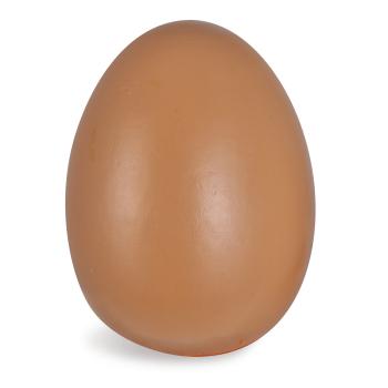 Preview: Kaufladenzubehör Eier 7-teilig aus Holz – Lernspielzeug mit Magnetfunktion – Fördert Motorik, ab 2 Jahren – Birkenholz, 10.5x16x7cm