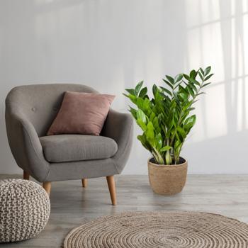 Preview: Hanf Korb-Set - 2 runde Pflanzkörbe mit Innenfolie, braun, stapelbar für Innen- & Aussenbereich - 20x13cm & 23x17cm – vielseitige Aufbewahrung & Deko