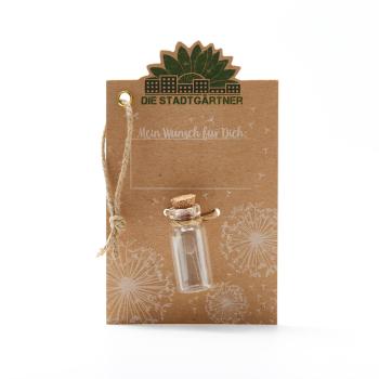 Wunscherfüller Glas mit Korkverschluss - Natürliche Pusteblume - Handgefertigt in Deutschland - Ideal für Hochzeit, Geburtstag, Taufe - Ø 1.5x3.8 cm