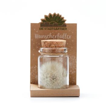 Preview: Wunscherfüller Glas - Pusteblume im Glas mit Korkverschluss - Handgefertigt - Ø4.5xH7.5cm - Ideal für Hochzeit Geburtstag Taufe Prüfung - 100% Natur