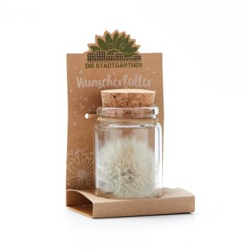 Wunscherfüller Glas - Pusteblume im Glas mit Korkverschluss - Handgefertigt - Ø4.5xH7.5cm - Ideal für Hochzeit Geburtstag Taufe Prüfung - 100% Natur