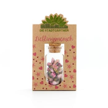 Geschenk Lieblingsmensch - Blüten im Glas mit Korkverschluss - Handgefertigt Deutschland - 100% natürliche & selbstgepflückte rosa Blüten