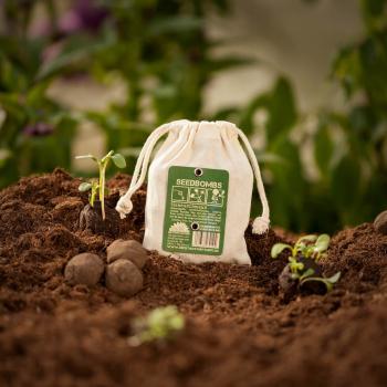 Preview: Samenbomben Bienenschmaus 8er-Set - Wildblumen Saatbomben für bienenfreundlichen Garten & Balkon - 38 Saatgutarten, 100% Naturmaterialien, handgemacht