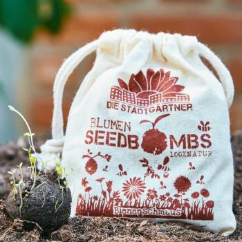 Preview: Samenbomben Bienenschmaus 8er-Set - Wildblumen Saatbomben für bienenfreundlichen Garten & Balkon - 38 Saatgutarten, 100% Naturmaterialien, handgemacht