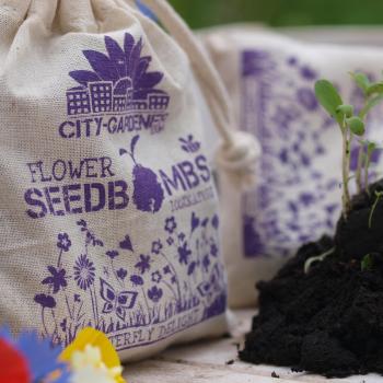 Preview: 8er-Set Samenbomben Schmetterlingswiese - Paradies für Bienen & Schmetterlinge - 39 Saatgutarten - 100% Naturmaterialien im Jutebeutel - Handgemacht