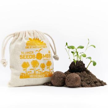 Preview: Samenbomben Sonnenblume 8er-Set - 5 verschiedene Sorten für Garten & Balkon - Handgemacht aus Naturmaterialien - Bis 2 Jahre haltbar