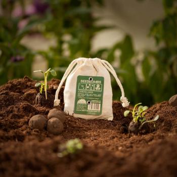 Preview: Samenbomben Sonnenblume 8er-Set - 5 verschiedene Sorten für Garten & Balkon - Handgemacht aus Naturmaterialien - Bis 2 Jahre haltbar