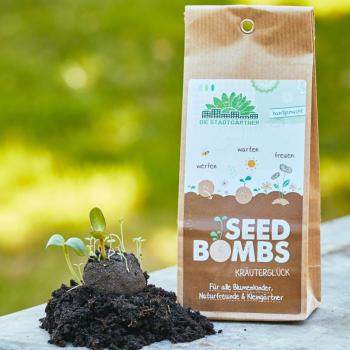 Preview: Samenbomben Kräuterglück 5er-Set - Saatbomben für Kräutergarten - 6 verschiedene Küchenkräuter & Heilkräuter - 100% Naturmaterialien - Handgemacht