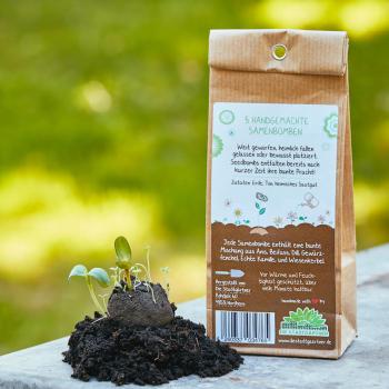 Preview: Samenbomben Kräuterglück 5er-Set - Saatbomben für Kräutergarten - 6 verschiedene Küchenkräuter & Heilkräuter - 100% Naturmaterialien - Handgemacht