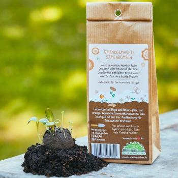 Preview: Samenbomben Sonnenblumen 5er-Set - Saatbomben für Garten & Balkon - 5 Sorten, handgemacht, 80-300cm Wuchshöhe, bis 2 Jahre haltbar