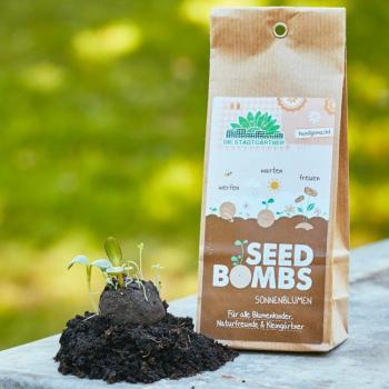 Preview: Samenbomben Sonnenblumen 5er-Set - Saatbomben für Garten & Balkon - 5 Sorten, handgemacht, 80-300cm Wuchshöhe, bis 2 Jahre haltbar