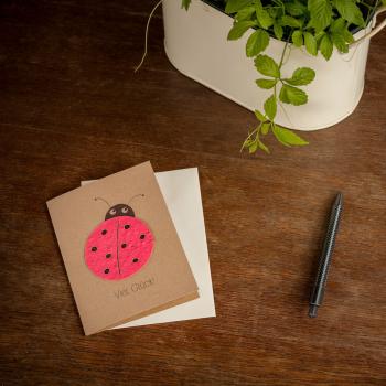 Preview: Glückwunschkarte mit Saatgut für Blumen - Marienkäfer Karte zum Bepflanzen - Langanhaltende Freude & Blumengruss - Handgemacht in Deutschland, bunt