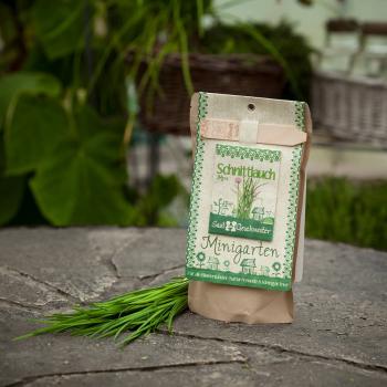Preview: Saatgut Set Schnittlauch Komplett-Set - Anzucht für Kräutergarten Aussenbereich - Inkl. Gartenerde, Samen, Anleitung & Pflanzstäbchen - 100% Naturmaterialien