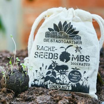 Preview: Samenbomben Unkraut 8er-Set - 19 Sorten für Rache & Garten - Handgefertigt, 100% Naturmaterialien, bis 2 Jahre haltbar