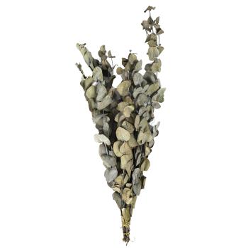 Künstliche Eukalyptus Zweige - Täuschend echte Kunstpflanze für stilvolle Deko - Braun-Grün, 85g, aus Kunststoff - Perfekt für Vase & Arrangement