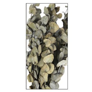 Preview: Künstliche Eukalyptus Zweige - Täuschend echte Kunstpflanze für stilvolle Deko - Braun-Grün, 85g, aus Kunststoff - Perfekt für Vase & Arrangement