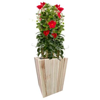 Preview: Blumenkasten Holz - Pflanzkübel für Garten, Balkon & Terrasse mit Innenfolie - 30x30x45cm hellbraun - robust, stabil, natürlich