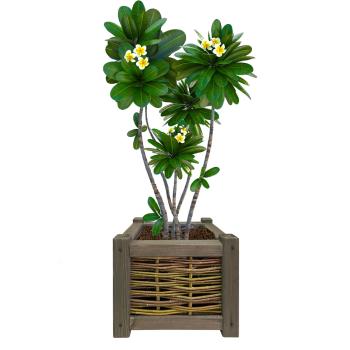 Preview: Blumenkasten aus Holz - Rattan-Optik Pflanzkübel mit Innenfolie - Braun, 40x40x40cm - Balkonkasten mit 4 Standfüssen für Kräuter & Gemüse