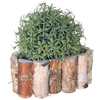 Pflanztopf aus Birkenholz oval – Natürliche Holzdeko für Zuhause Balkon & Terrasse – 23,5x13,5x10cm - Zauberhafter Eyecatcher