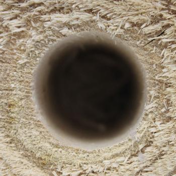 Preview: Schwedenfeuer aus Echtholz - Gartenfackel mit Betonsockel Ø 12x18cm - Für Terrasse, Balkon & Outdoor - Pappelholz aus Ungarn - Dekoration & Geschenk