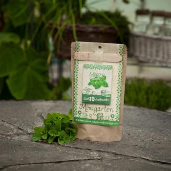 Preview: Saatgut Set Minze - Anzucht Komplett-Set mit Gartenerde, Samen, Anleitung & Pflanzstäbchen - wasserfeste Verpackung als Pflanztopf nutzbar - 80 Pflanzen