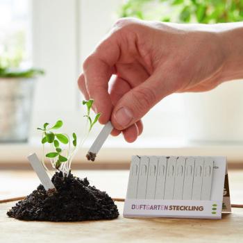 Preview: Duftgarten Steckling - Karte mit 10 Saatgut Stiften zum Einpflanzen - Einfache Anwendung für neue Geruchsexplosionen - ideal als Geschenk & Mitbringsel