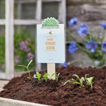 Preview: Saatgrüsse Hallo Sonnenschein - Sonnenblumenmischung für Balkon & Garten - Saatgut-Gruss für sommerliches Blütenmeer - Kleines Geschenk & Mitbringsel