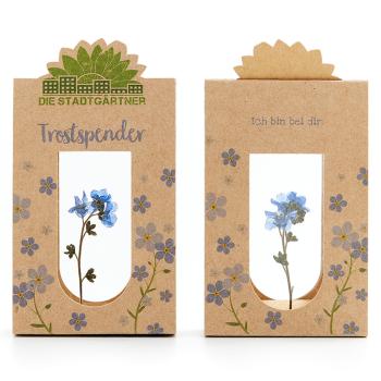 Preview: Trostspender Vergissmeinnicht hinter Glas, Geschenk zur Aufmunterung