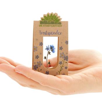 Preview: Trostspender Vergissmeinnicht hinter Glas, Geschenk zur Aufmunterung