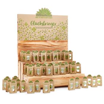 Preview: Glücksbringer vierblättriges Kleeblatt hinter Glas - 100% Natur & handgepflückt - Liebevolle Geschenkidee für jeden Anlass - Für Glückwünsche