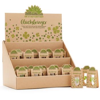 Preview: Glücksbringer vierblättriges Kleeblatt hinter Glas - 100% Natur & handgepflückt - Liebevolle Geschenkidee für jeden Anlass - Für Glückwünsche