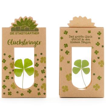 Preview: Glücksbringer vierblättriges Kleeblatt hinter Glas - 100% Natur & handgepflückt - Liebevolle Geschenkidee für jeden Anlass - Für Glückwünsche