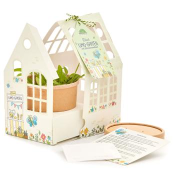 Zitronenmelisse Anzucht-Set Gewächshäuschen - Für Kinder & Erwachsene, spielerisch Gärtnern & Natur entdecken - Inkl. Bio-Saatgut, Topf, Pflanzsubtrat