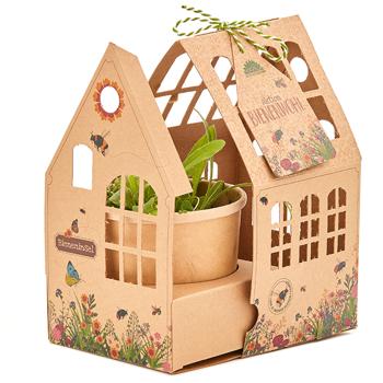 Wildblumen-Gewächshäuschen Bieneninsel – Anzuchtset – Für Bienen, Hummeln, Schmetterlinge – Deko Gartenhäuschen, Pflanzgefäss, Substrat, Saatgut