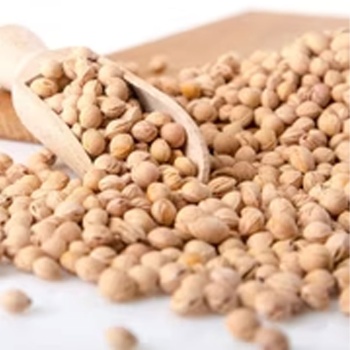 Preview: Bequemes Bio-Kirschkern mit 3 Kammern, 50x20 cm - Natürliches Wärme- & Kältekissen für Bauch, Rücken, Nacken & Schulter - Kissenbezug Bio-Baumwolle