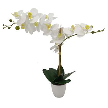 Seiden-Orchidee im Topf - Pflegeleichte Kunstpflanze mit 10 weissen Blüten - Detailgetreu, 61cm hoch, Polyester - Ideal für alle Räume