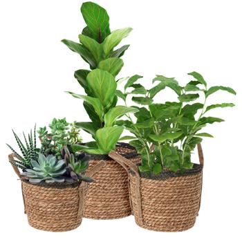 Preview: 3er-Set Rattan Körbe rund – Vielseitige Aufbewahrungskörbe & Pflanzkörbe mit Henkeln – Braun/Schwarz, Ø 25-33cm, Landhaus-Stil, 130-148 Zeichen