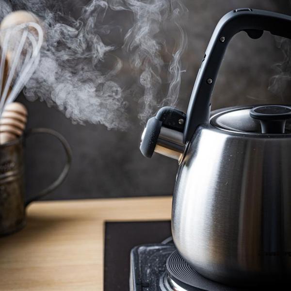 Klassischer Edelstahl-Wasserkessel mit schwarzen Griffen, 2,5 l, für alle Herdarten inklusive Induktion, hochwertig & elegant