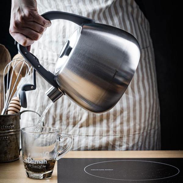 Klassischer Edelstahl-Wasserkessel mit schwarzen Griffen, 2,5 l, für alle Herdarten inklusive Induktion, hochwertig & elegant