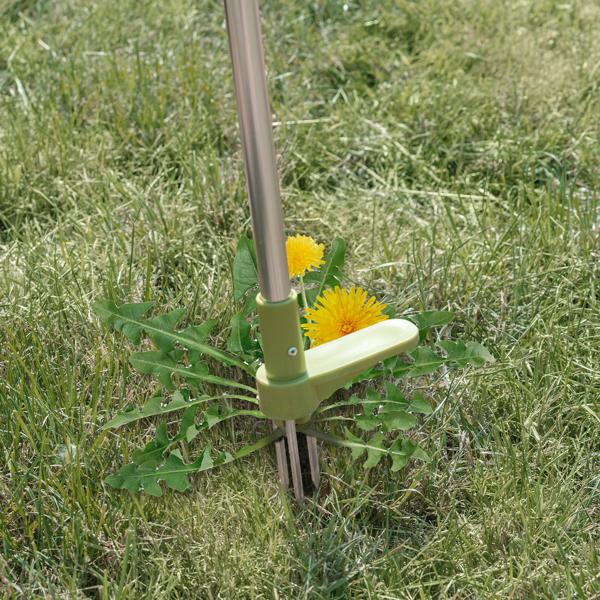 Ergonomischer Unkrautstecher 100cm: Rückenschonendes Jäten ohne Bücken & Chemie, robuster Löwenzahnstecher für Rasen & Garten