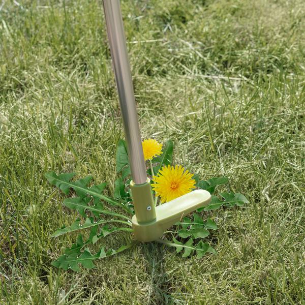 Ergonomischer Unkrautstecher 100cm: Rückenschonendes Jäten ohne Bücken & Chemie, robuster Löwenzahnstecher für Rasen & Garten